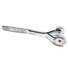 Rouge Stainless Steel 2 Prong Pinwheel