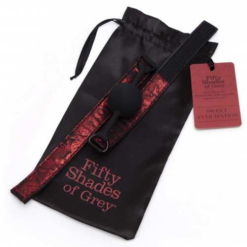 Fifty Shades of Grey Sweet Anticipation Ball Gag