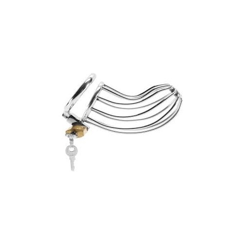 Rouge Stainless Steel Chasity Cock Cage with Padlock