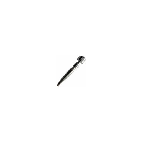 Rouge Stainless Steel Shower Penis Plug
