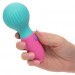 CalExotics Naughty Bits To The Max Vibrating Mini Wand
