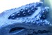 Creature Cocks Cocktopus Octopus Slicone Dildo