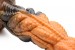 Creature Cocks Ravager Rippled Tentacle Dildo