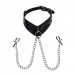 Sportsheets Velvet Noir Collar & Removable Clamps